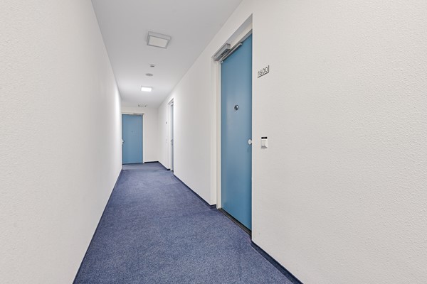 Medium property photo - Hongerlandsedijk 1600, 3201 LZ Spijkenisse